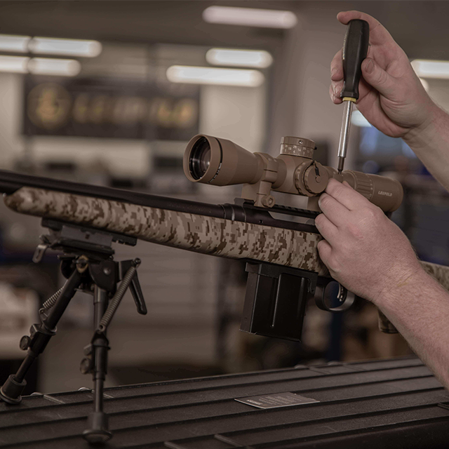 custom gun